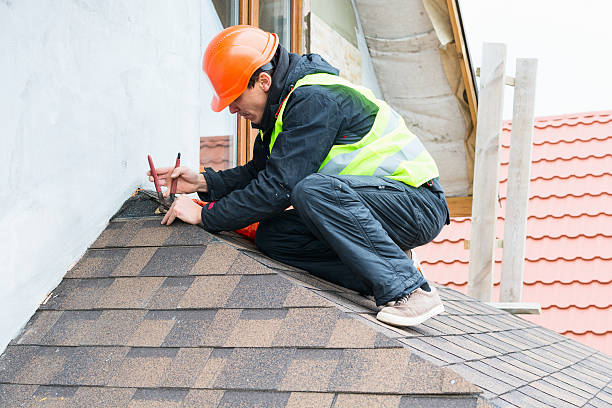 Roof Gutter Cleaning in West Union, IA