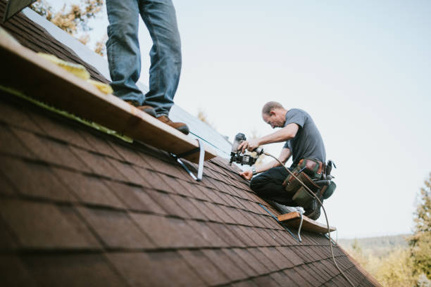 Best Roof Gutter Cleaning  in West Union, IA